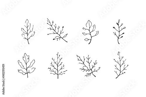 Set of 6 pec in two row  Cedar Leaf line art on white background 