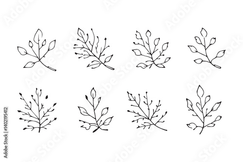 Set of 6 pec in two row  Cedar Leaf line art on white background