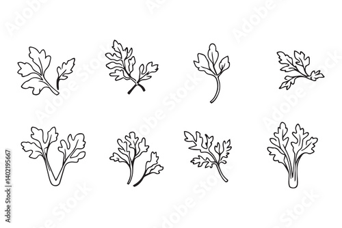 Set of 6 pec in two row  Celery Leaf line art on white background