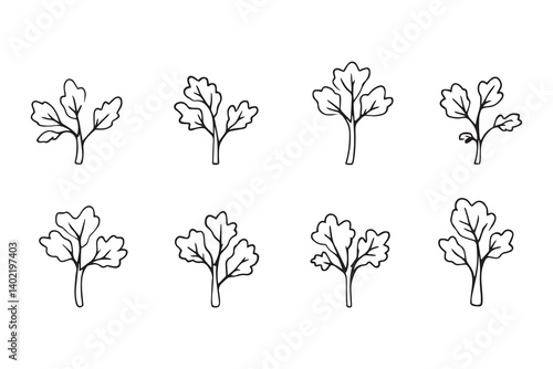Set of 6 pec in two row  Celery Leaf line art on white background 