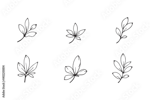 Set of 6 pec in two row  Chamomile Leaf line art on white background