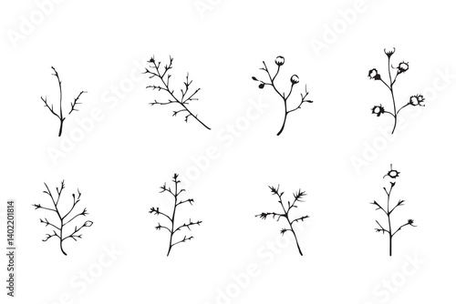 Set of 6 pec in two row  Chamomile Leaf line art on white background