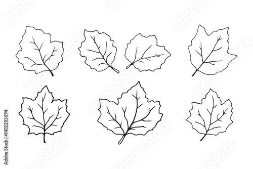 Set of 6 pec in two row  Chayote Leaf line art on white background