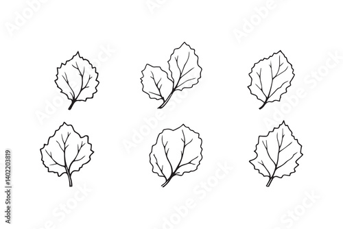 Set of 6 pec in two row  Chayote Leaf line art on white background