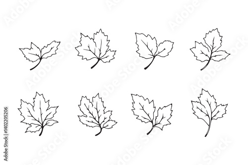 Set of 6 pec in two row  Cherry  Leaf line art on white background
