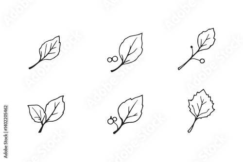 Set of 6 pec in two row  Cherry  Leaf line art on white background