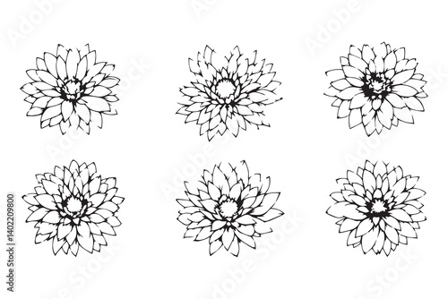Set of 6 pec in two row Chrysanthemum black line art on white background
