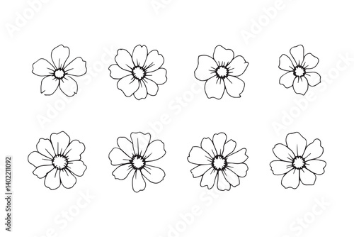 Set of 6 pec in two row Cineraria line art on white background
