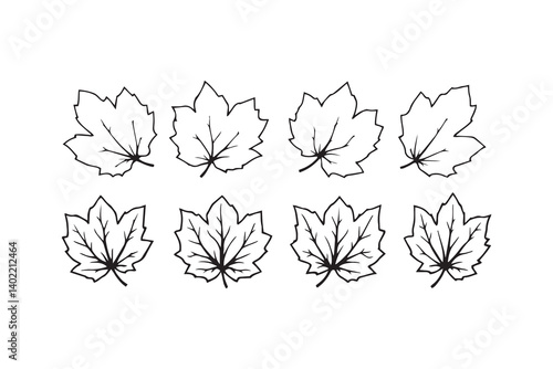 Set of 6 pec in two row Cinnamon  Leaf line art on white background