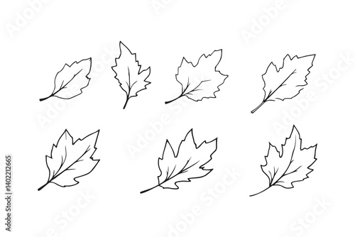 Set of 6 pec in two row  Cinnamon  Leaf line art on white background