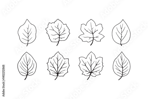 Set of 6 pec in two row  Cinnamon  Leaf line art on white background 