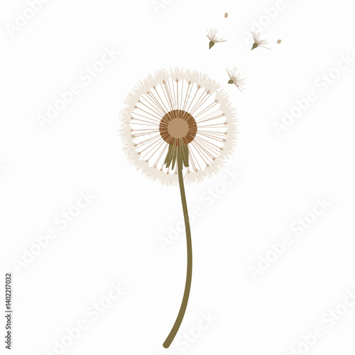Delicate dandelion puff drifting seeds in minimalist style, fragility