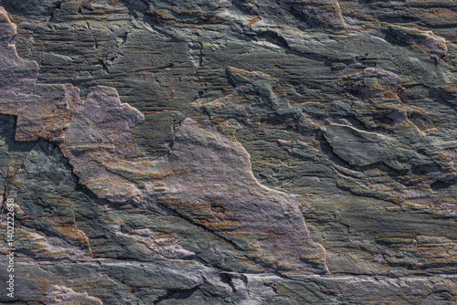 Obraz na plátně Close-up texture of a layered, dark gray metamorphic rock surface