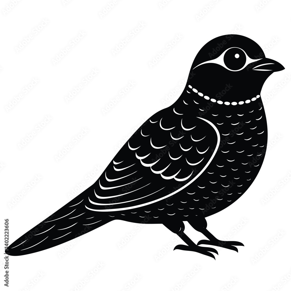 Fototapeta premium nightjar vector