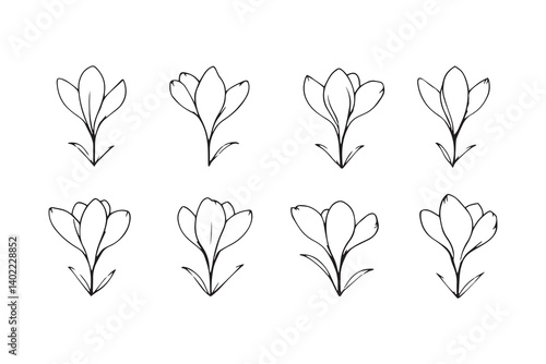 Set of 6 pec in two row  Crocus black line art on white background