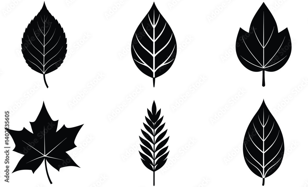 Fototapeta premium leaves Silhouettes vector set with various trees and foliage, ideal for nature and seasonal design