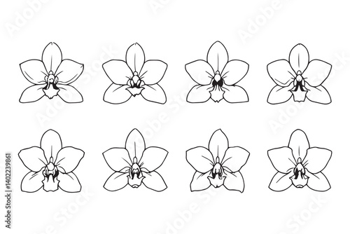 Set of 6 pec in two row  Cymbidium line art on white background