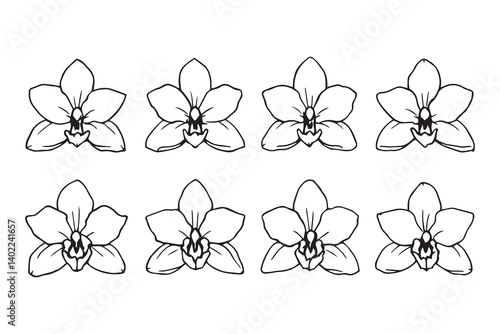 Set of 6 pec in two row  Cymbidium line art on white background