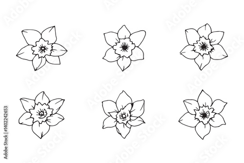 Set of 6 pec in two row  Daffodil black line art on white background