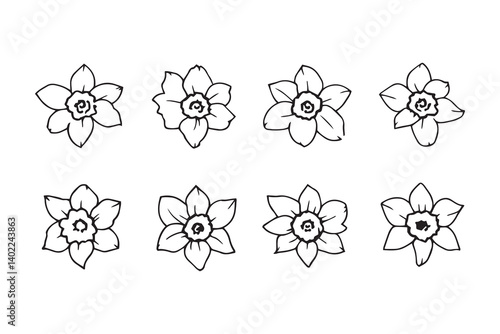 Set of 6 pec in two row  Daffodil black line art on white background