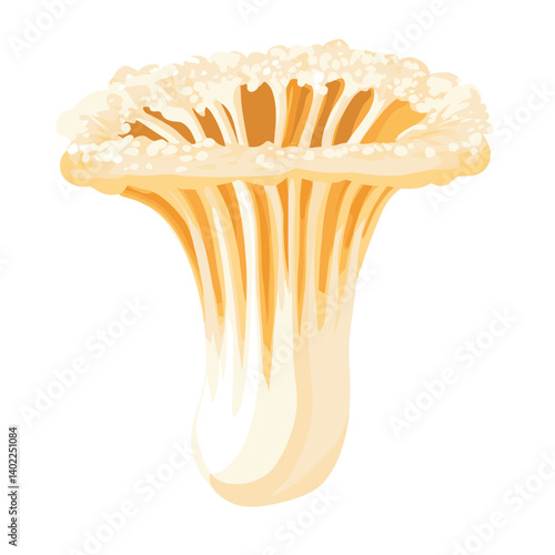 Detailed Illustration of a Pale Yellow Mushroom with White Gills on White Background