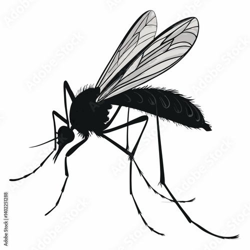 dragonfly vector illustration