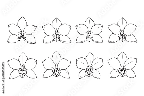Set of 6 pec in two row  Dendrobium line art on white background