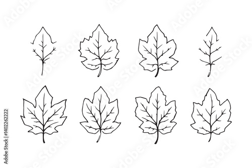 Set of 6 pec in two row  Devil Tree leaf line art on white background