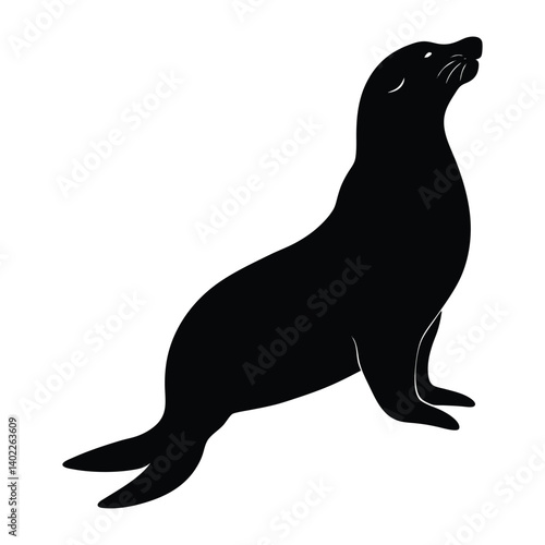 black sea lion