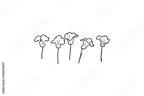 Set of 6 pec in two row  Dutchman's Pipe line art on white background