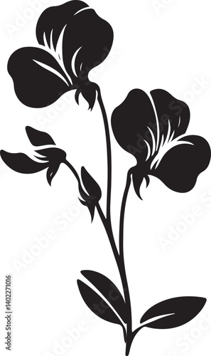 Sweet Pea Flower Silhouette Vector Design