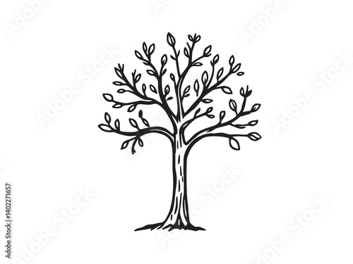 Sandalwood Tree Botanical Line Drawing Set