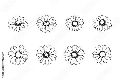 Set of 6 pec in two row  Echinacea line art on white background