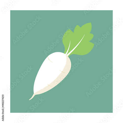 Fresh daikon radishes isolated vector art illustration