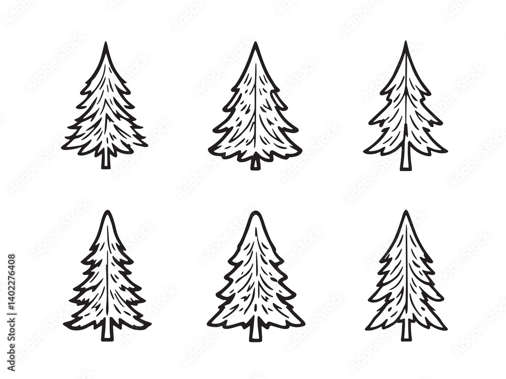 Obraz premium Spruce Tree Fine Outline Nature Illustration