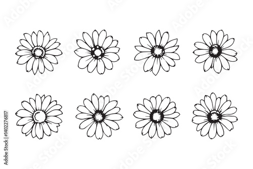 Set of 6 pec in two row  Echinacea line art on white background