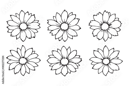 Set of 6 pec in two row  Edelweiss line art on white background