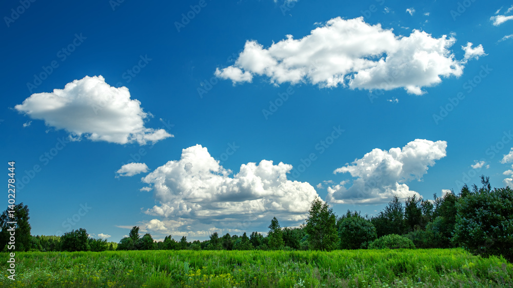 Obraz premium Summer landscape with blue sky in soft white clouds over green field of grass. Beautiful natural countryside. Nature rural scene with copy space for design