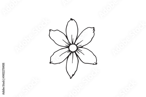 Set of 6 pec in two row  Edelweiss line art on white background