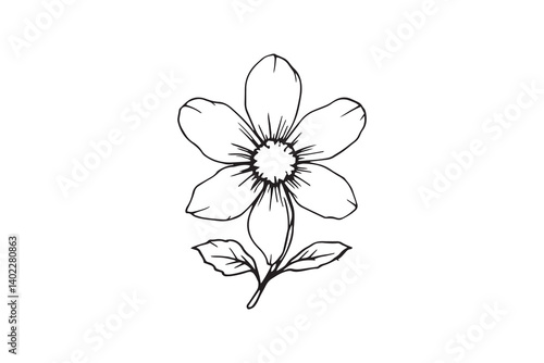 Set of 6 pec in two row  Edelweiss line art on white background