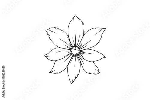 Set of 6 pec in two row  Edelweiss line art on white background