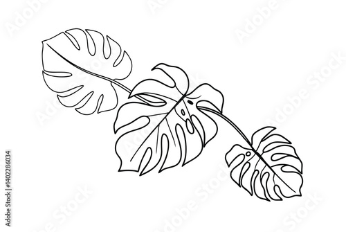 Minimalist Monstera Leaf Outline Design Elegant Botanical Vector Illustration