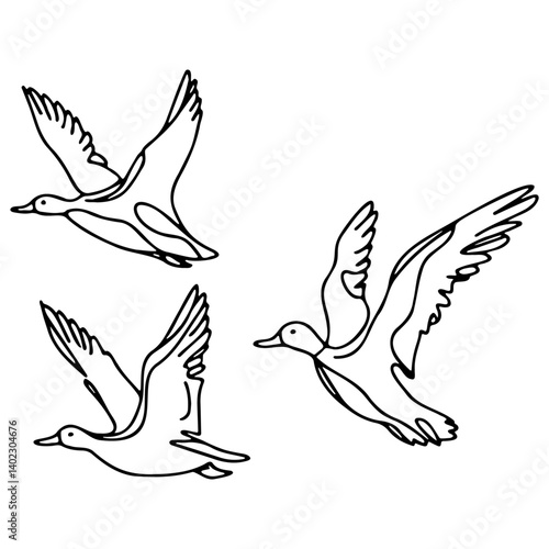 Wild Ducks Flying Line Art.