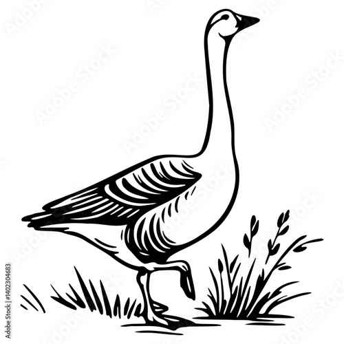 Wild Geese Illustration.