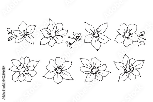 Set of 6 pec in two row  European Columbine line art on white background