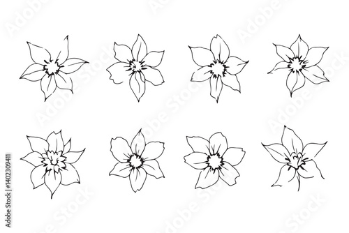 Set of 6 pec in two row  European Columbine line art on white background