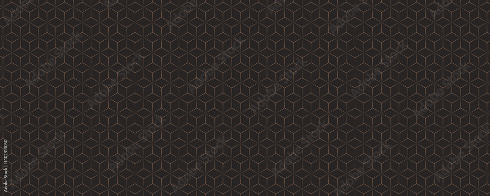 Elegant Black Geometric Pattern Background with Gold Lines Elegant Black Geometric Pattern Background with Gold Lines