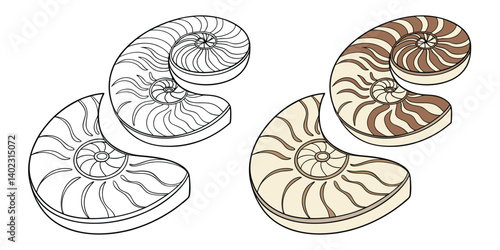 Natural Agate Coasters isolated on white, a metallic set of circle objects