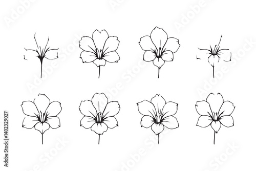 Set of 6 pec in two row  Flamingo Flower line art on white background