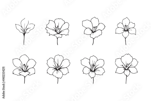 Set of 6 pec in two row  Flamingo Flower line art on white background